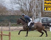 Wiering World Wide TosTour 2013- S5 7848 : Arezzo Equestrian Centre, Toscana Tour 2013, Wiering Harrie, World wide, foto di Stefano Secchi ©